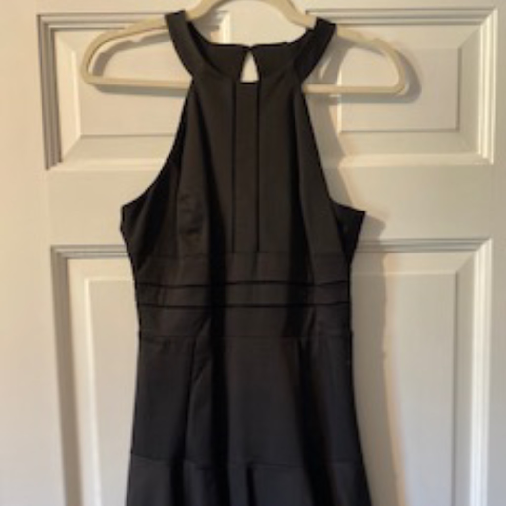 Parker Black Fit And Flare Dress